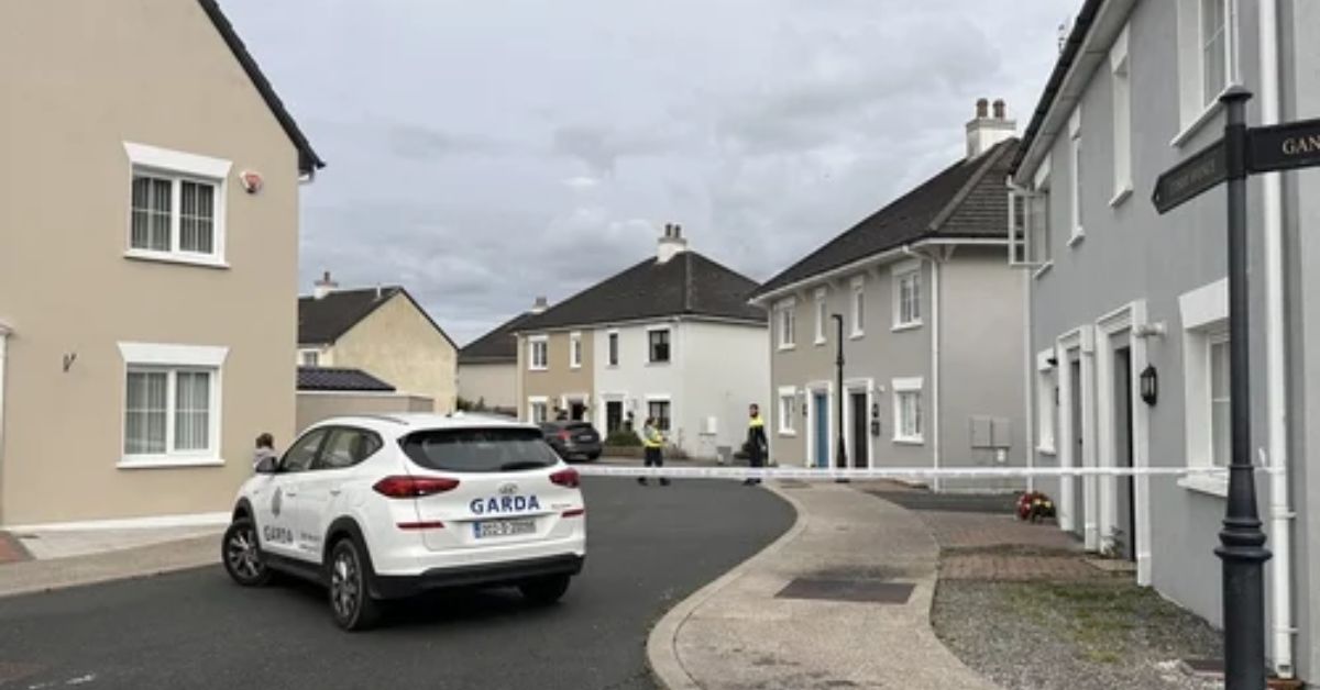 Three-Year-Old Girl Passed Away in Co Laois Crash