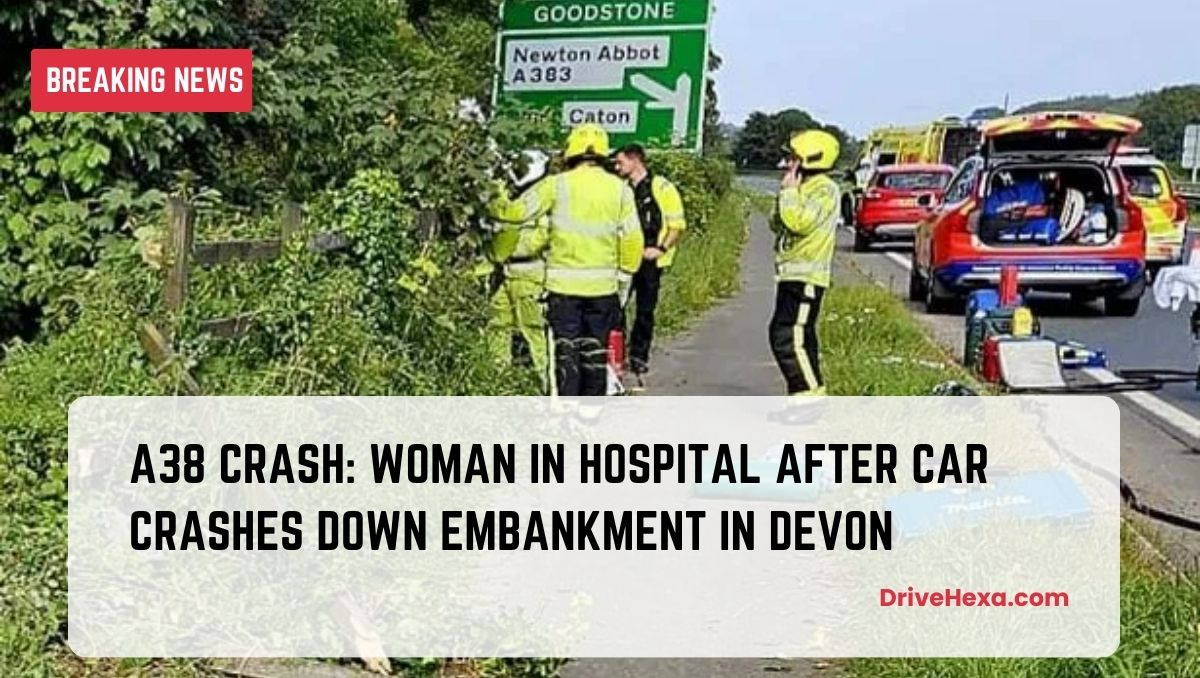 A38 crash: Woman in hospital after car crashes down embankment in Devon
