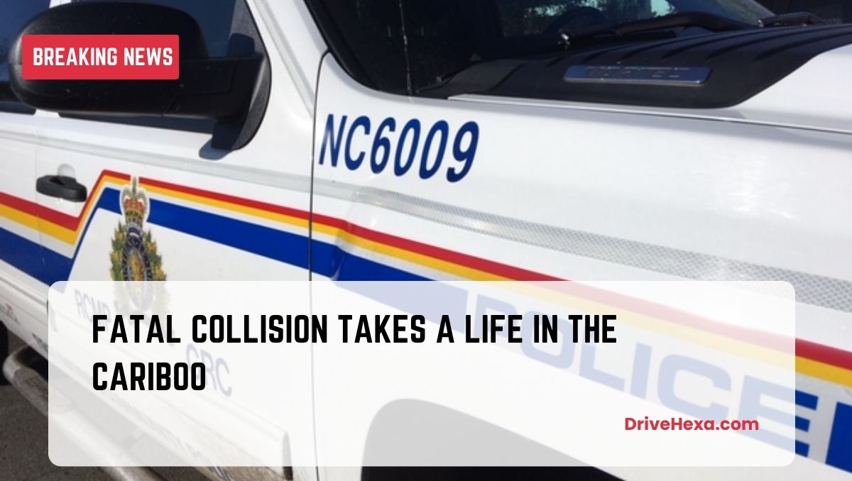 Fatal Collision Takes a Life in the Cariboo