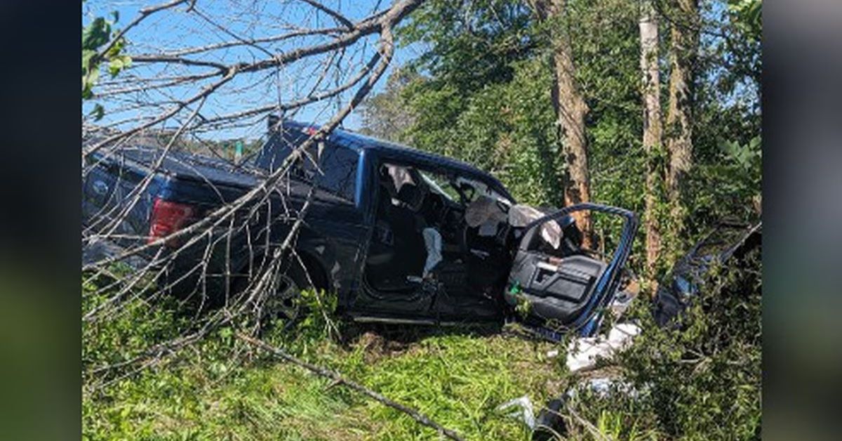 Large tree limb crashes down while crews work accident in White County