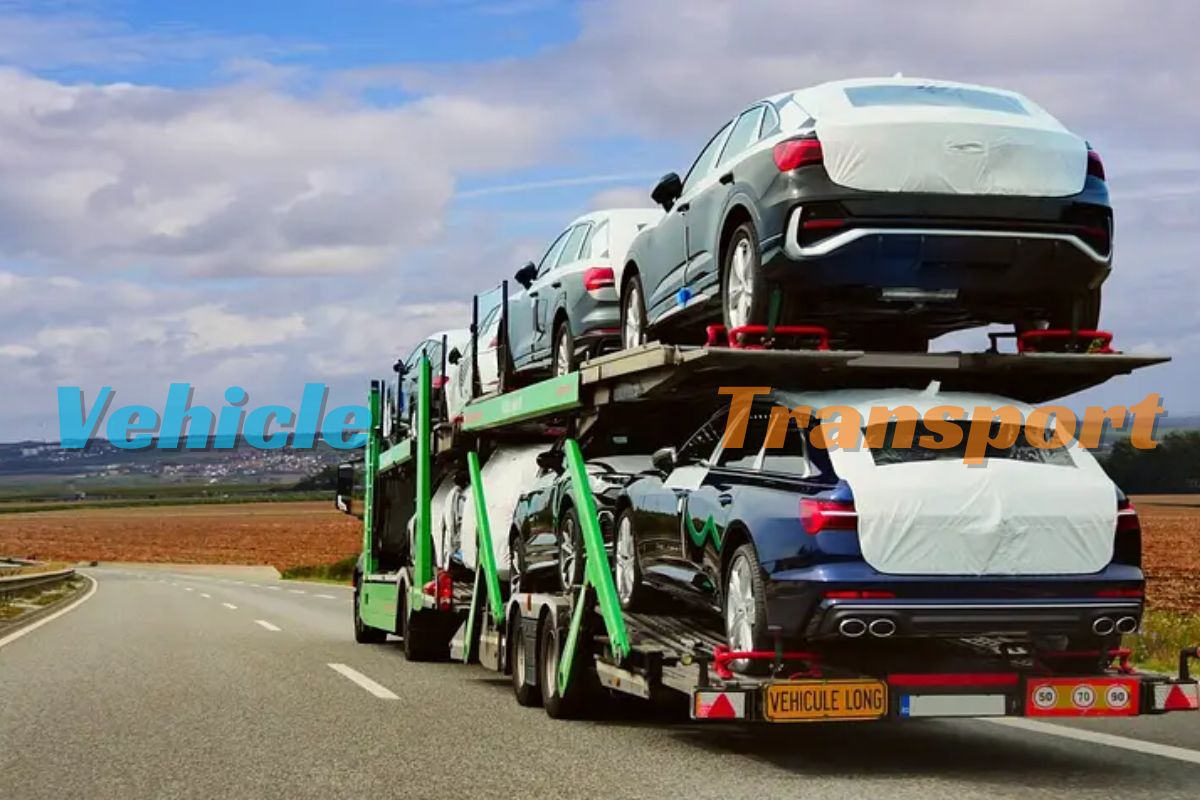 Vehicle Transport Made Easy